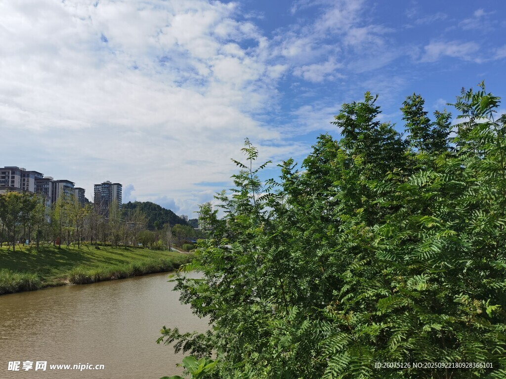 河畔绿树与远处楼宇风景