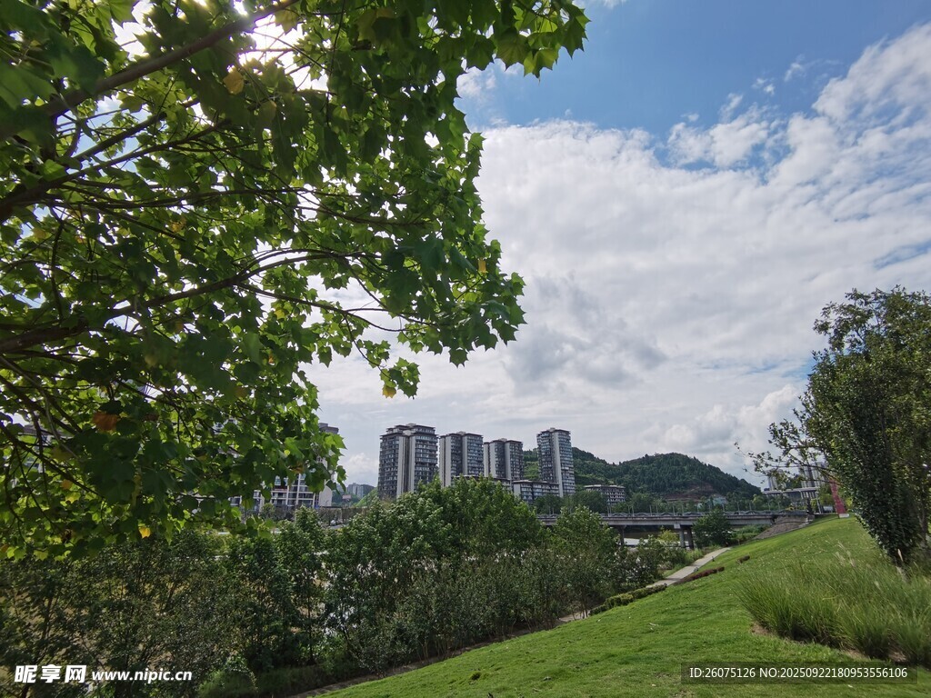 绿意盎然的城市远景