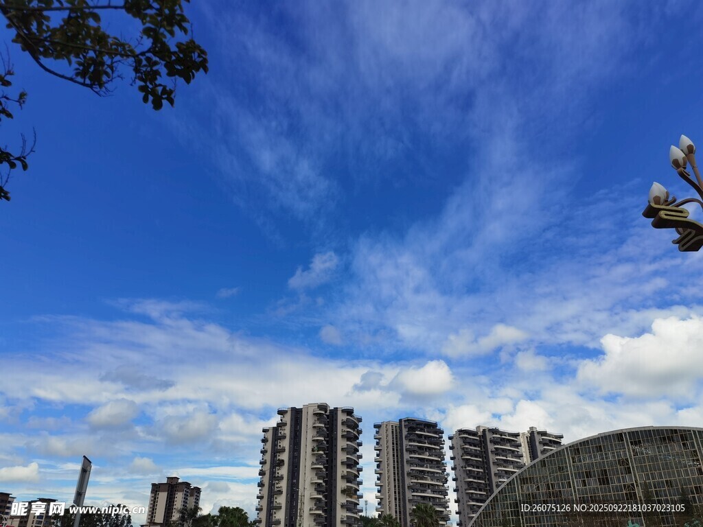 城市上空飞鸟与蓝天景象
