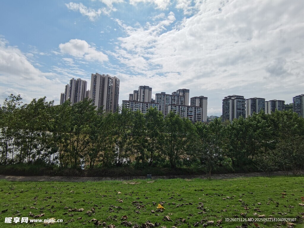 城市绿地旁的高楼景观