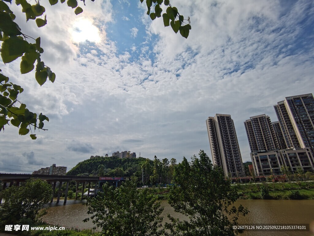 河畔城市风光与绿植景观