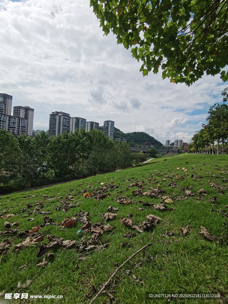 城市边的绿意草地景观