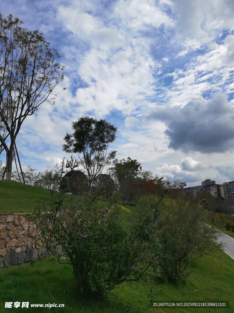 郊外绿意盎然的自然风光