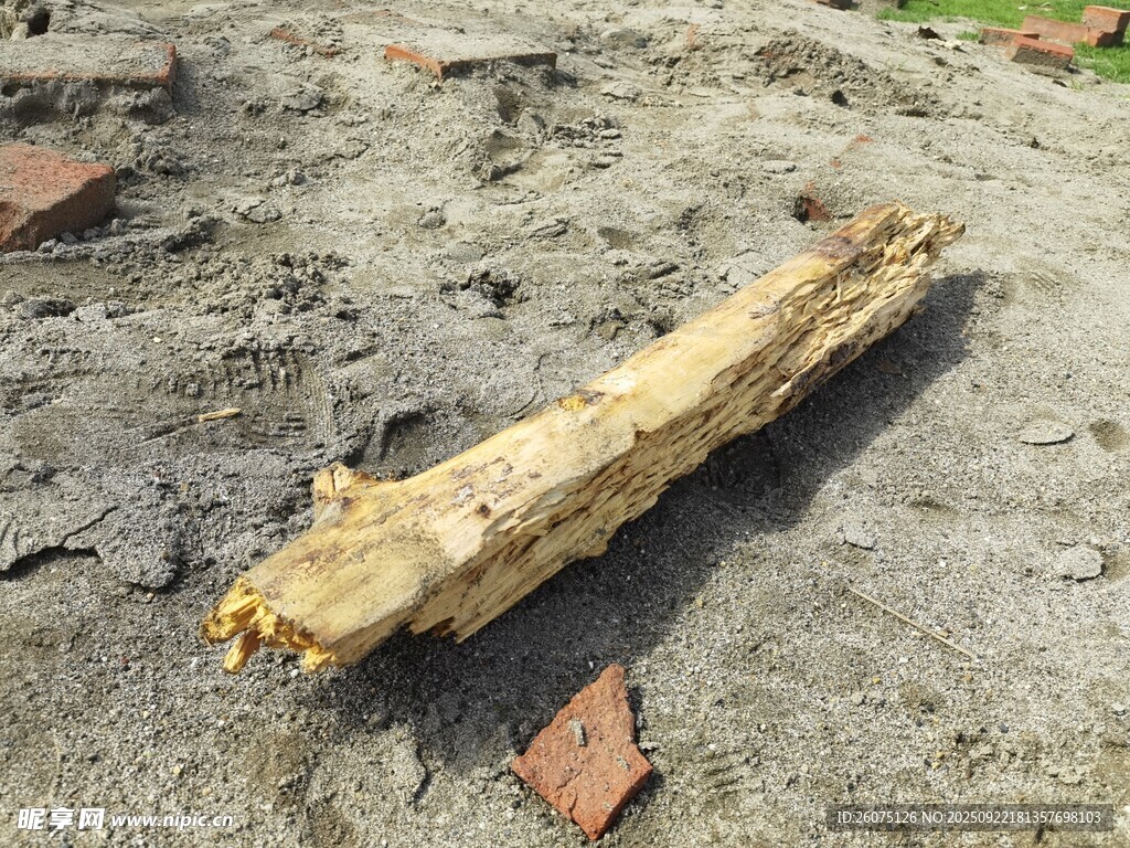 地面上的一根枯木