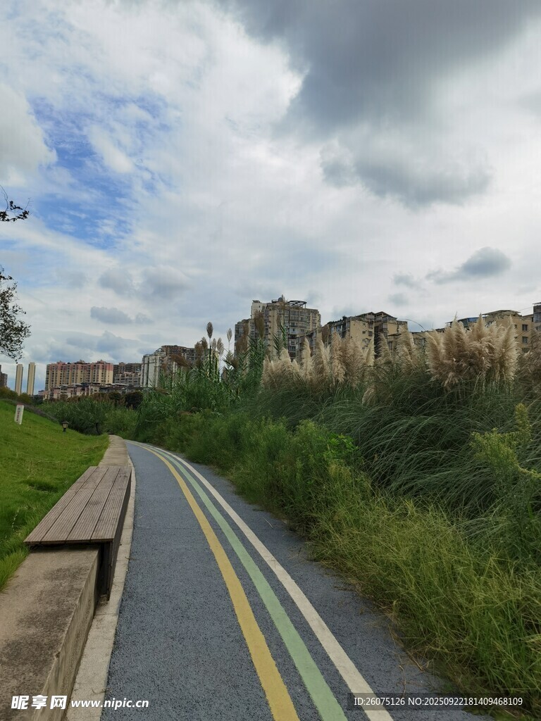 郊外彩色骑行道风景