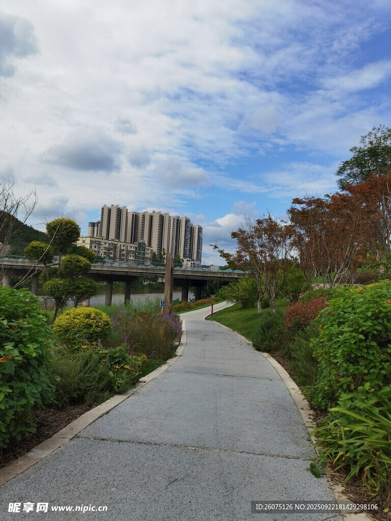 城市中的宁静步道景观