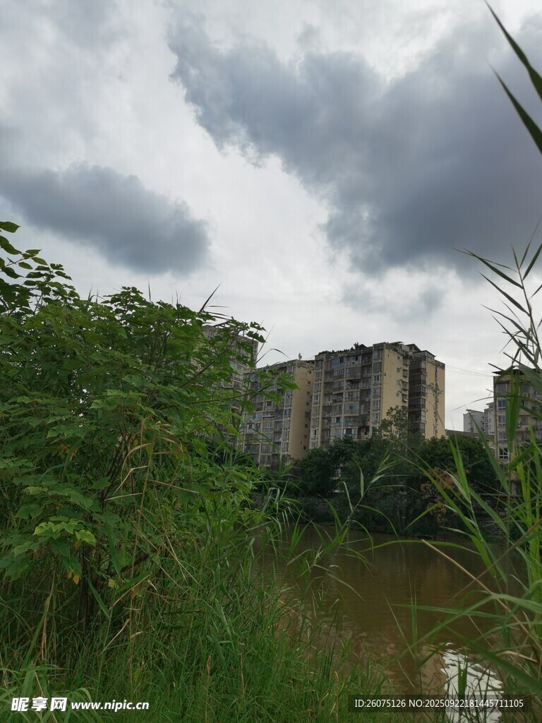荒废建筑隐于繁茂植被间
