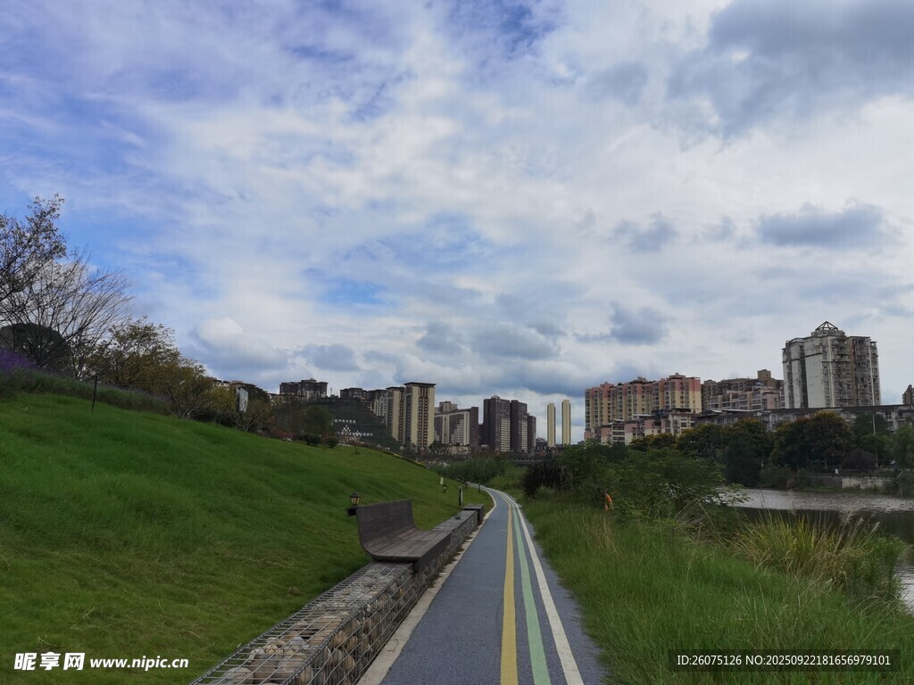 城市中的绿色骑行道路