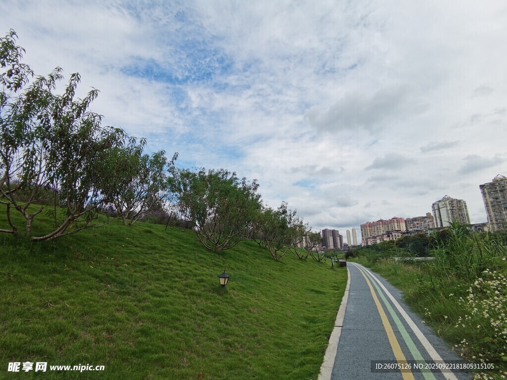 城市旁的绿色骑行道路