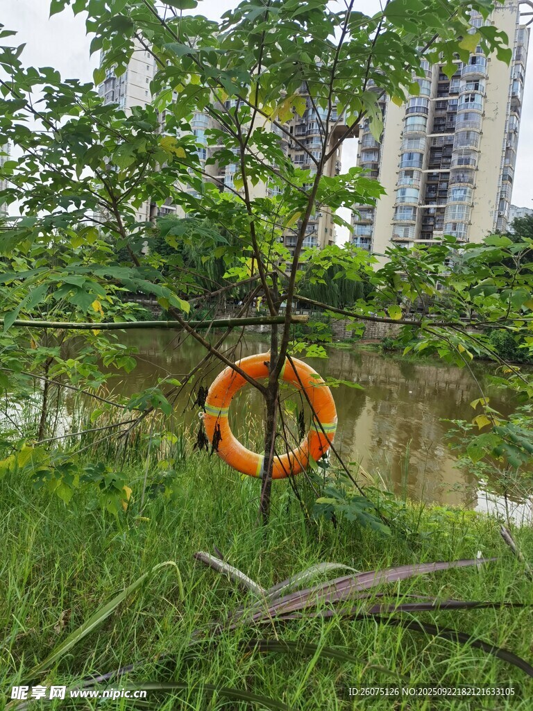 草地上的橙色救生圈