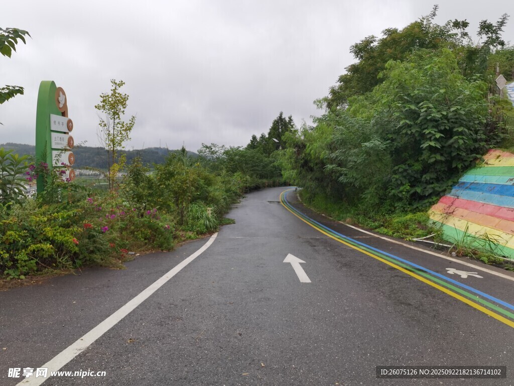 乡村公路旁的多彩景致