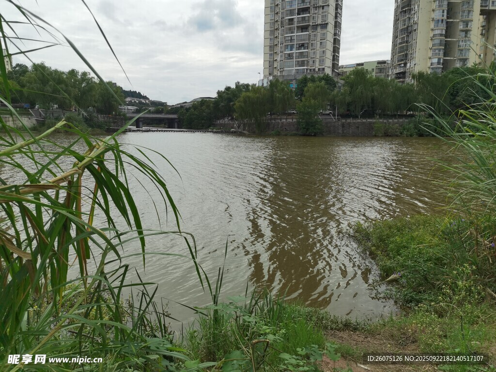 城市河畔风景