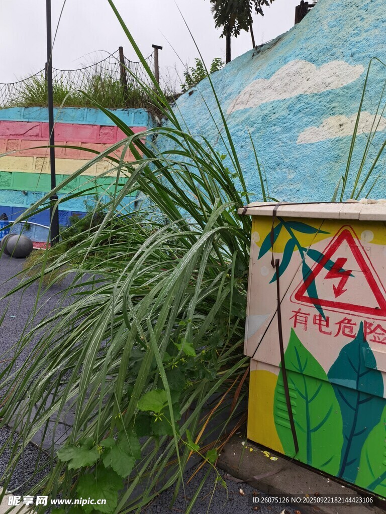 墙边绿植与多彩涂鸦景观