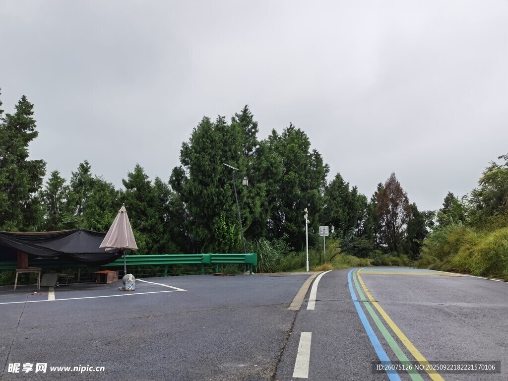 空旷道路旁绿树成荫