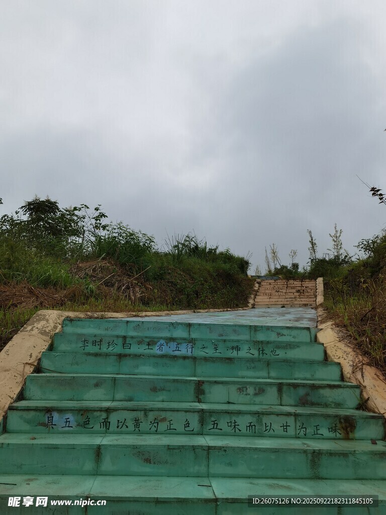 户外绿色阶梯景观