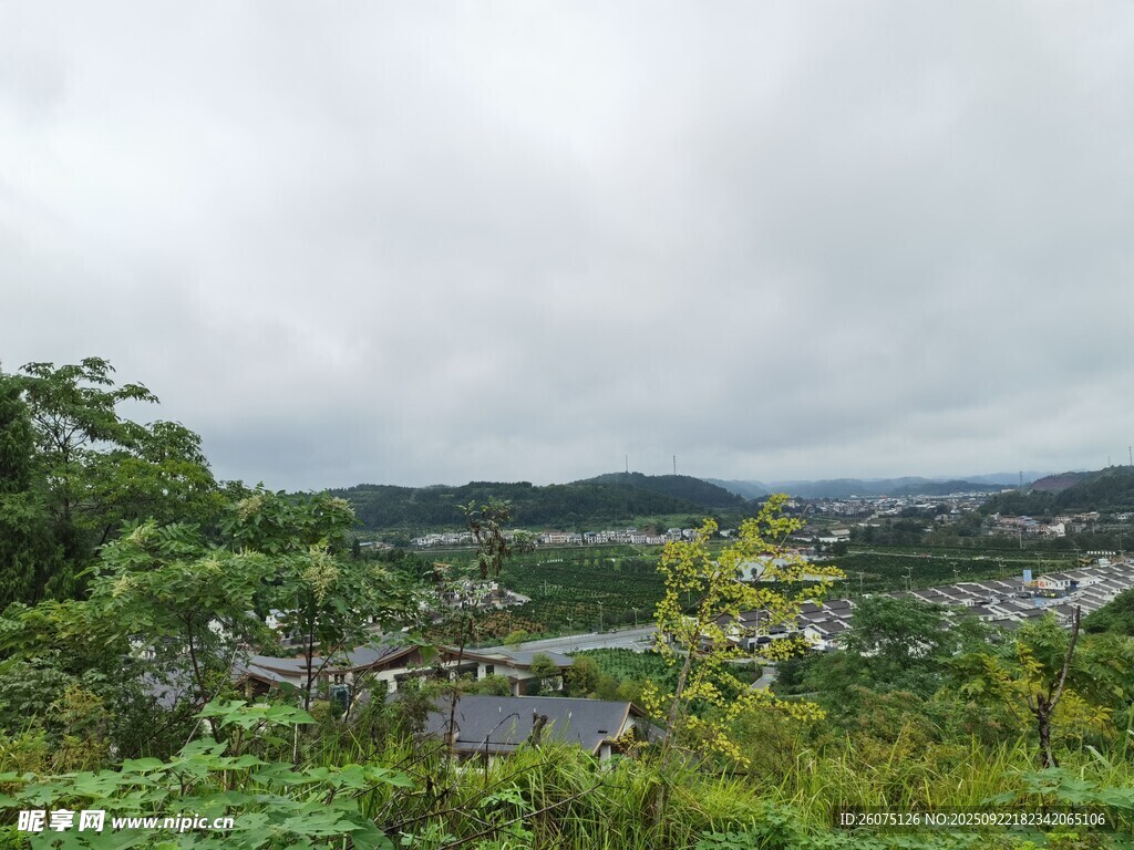 山间云雾缭绕的绿意景致