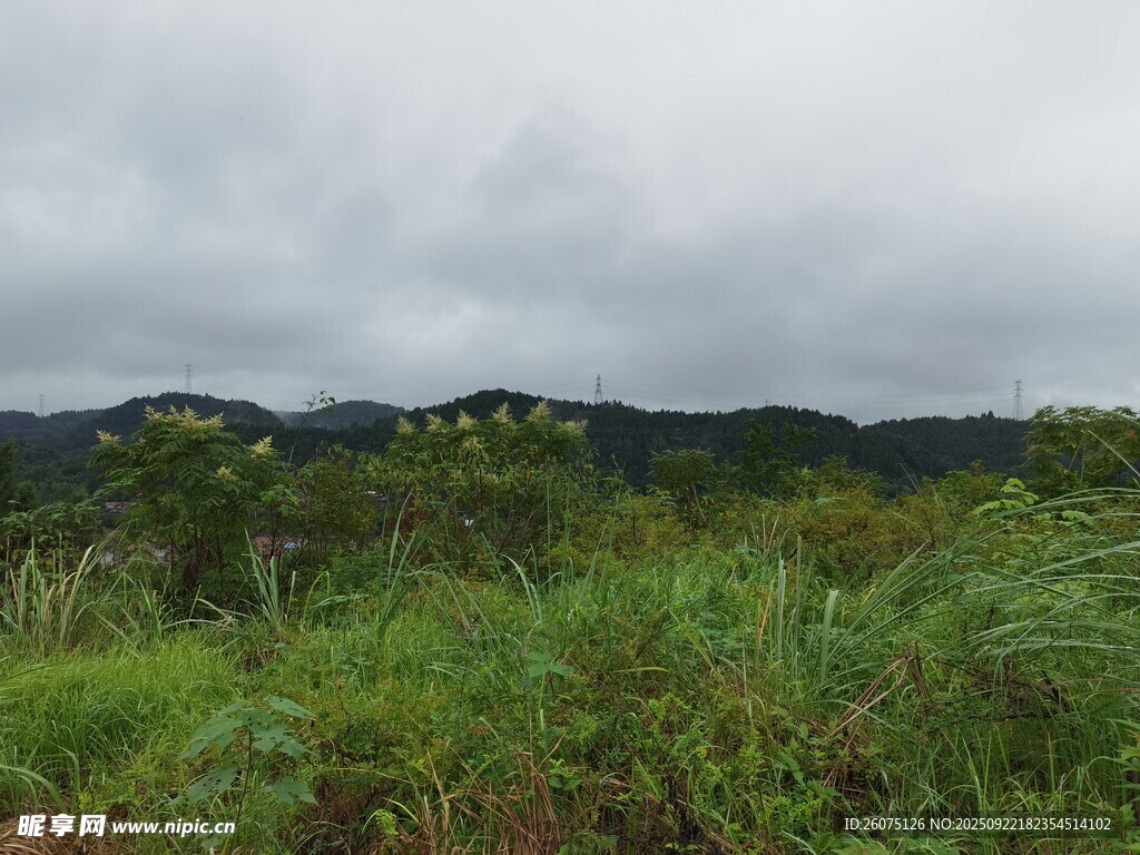 云雾笼罩下的绿野山林