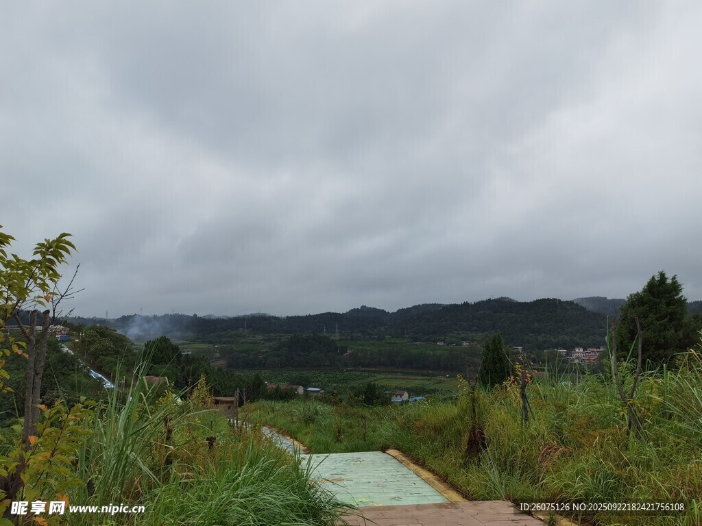 阴天小径旁的山野景色