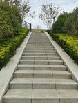 石砌台阶通往绿意景观