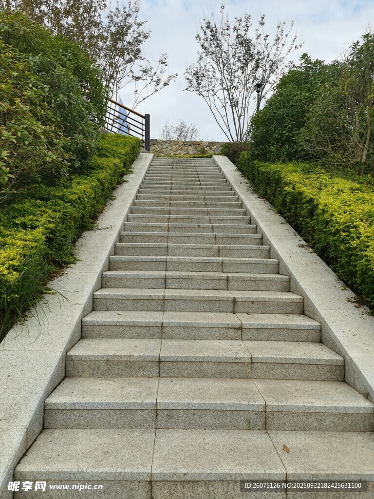 石砌台阶通往绿意景观