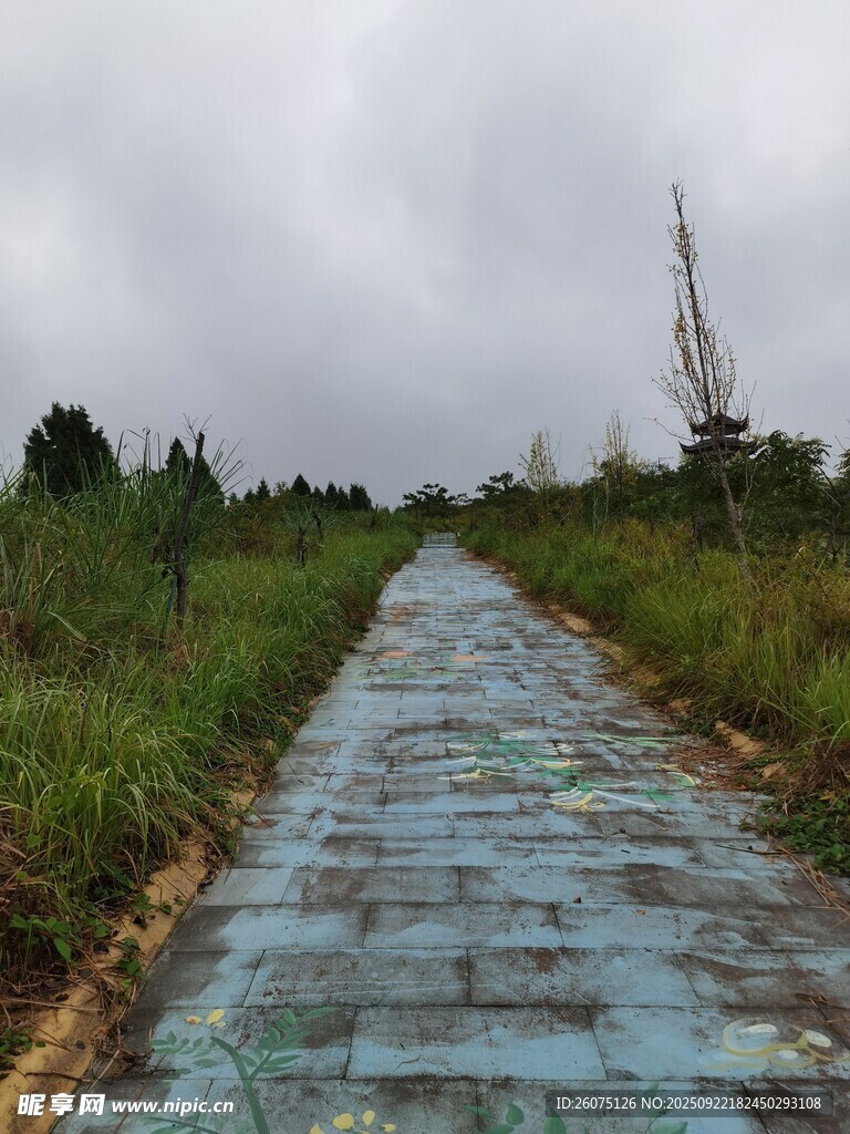 雨中乡间石板路