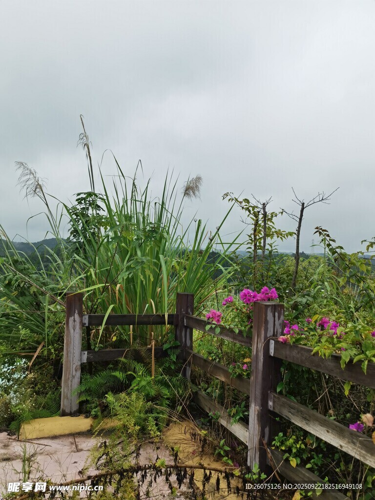 田园木栏旁的花草绿植