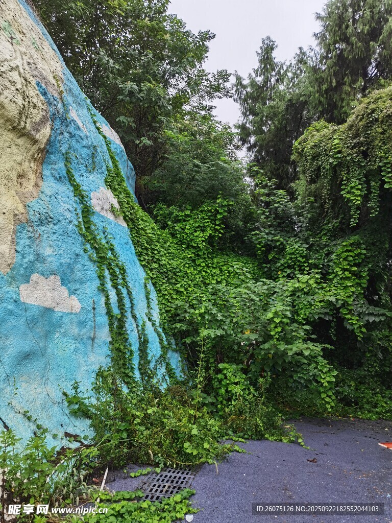 路边彩绘岩石与繁茂绿植