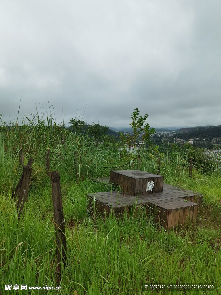 草地中的户外野餐桌椅