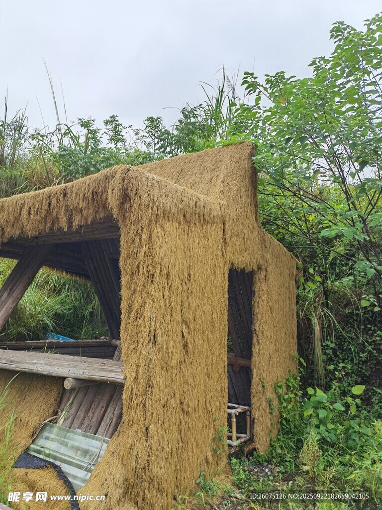 乡村草屋自然中的质朴建筑