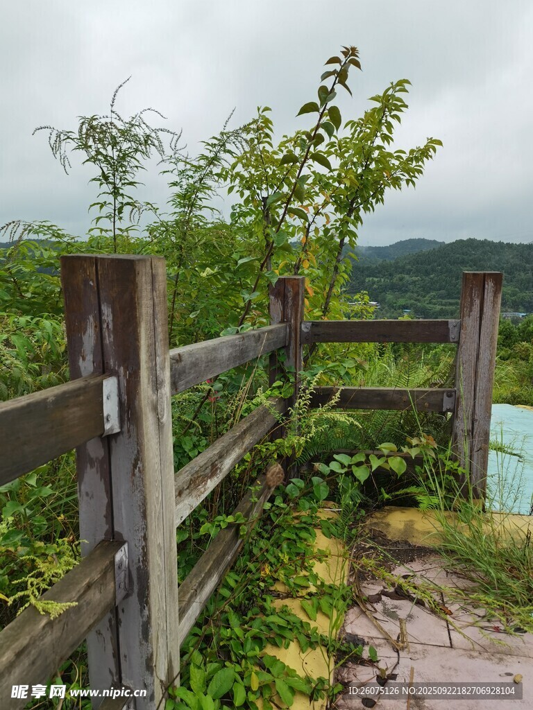 荒废木围栏旁的绿植景观