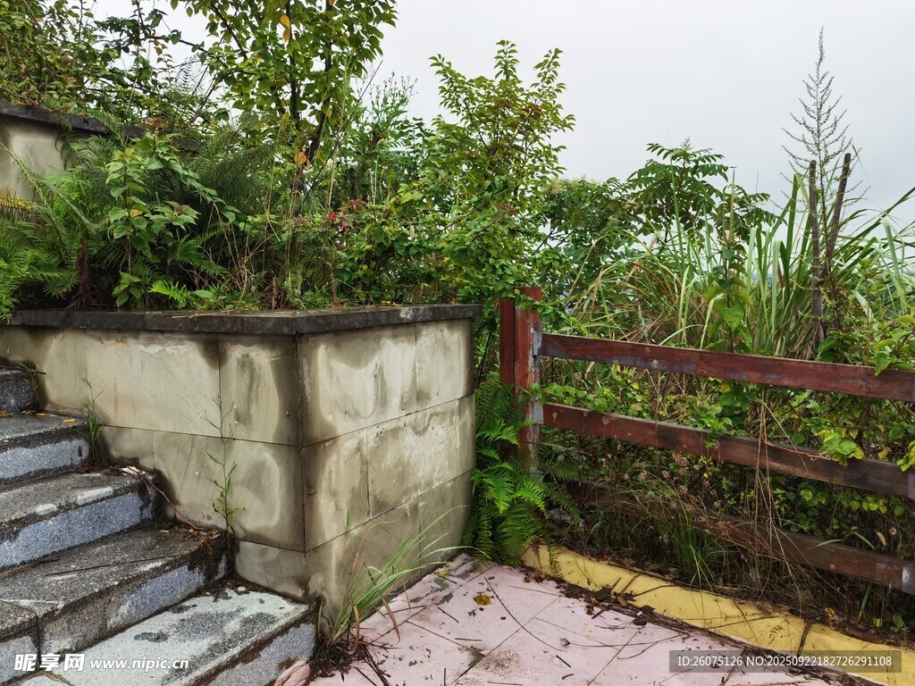 户外庭院角落绿植景观