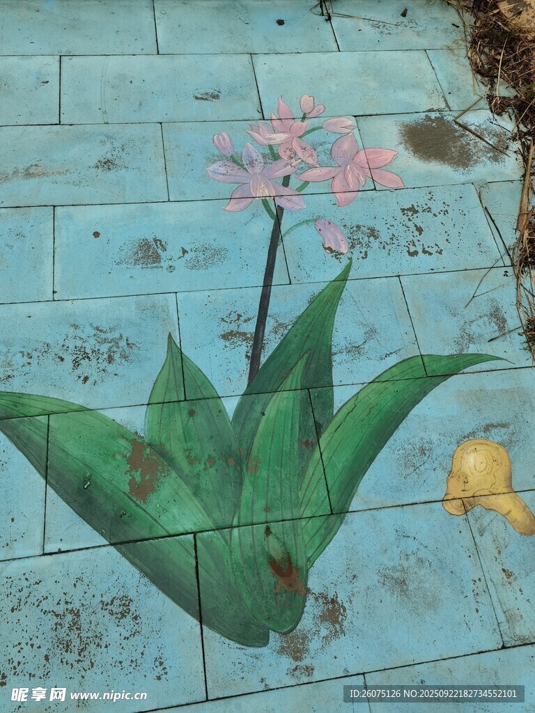 砖墙上的手绘绿植花卉