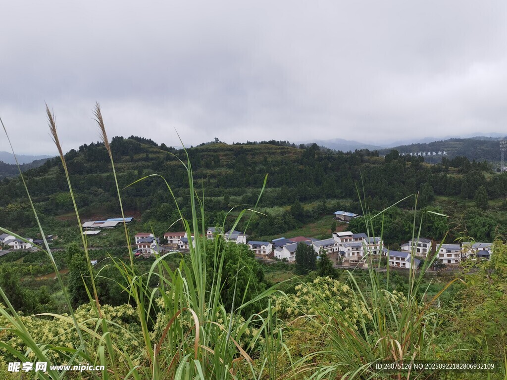 山间村落绿意盎然的景致
