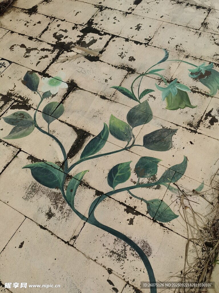 地面藤蔓艺术彩绘