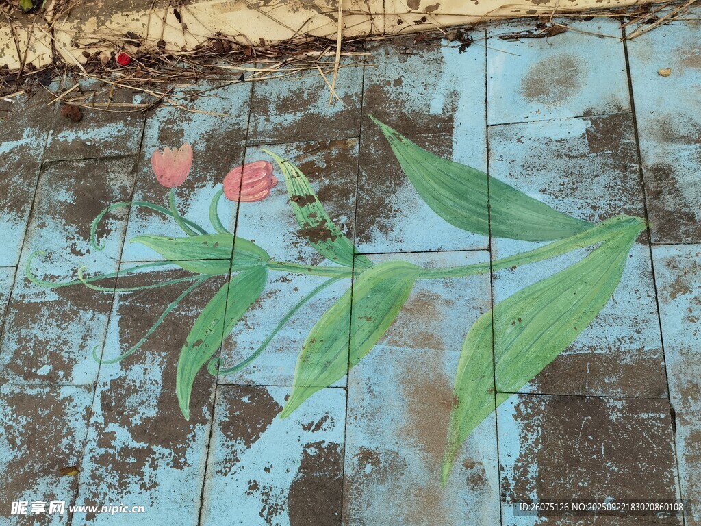 地面上的花卉涂鸦艺术