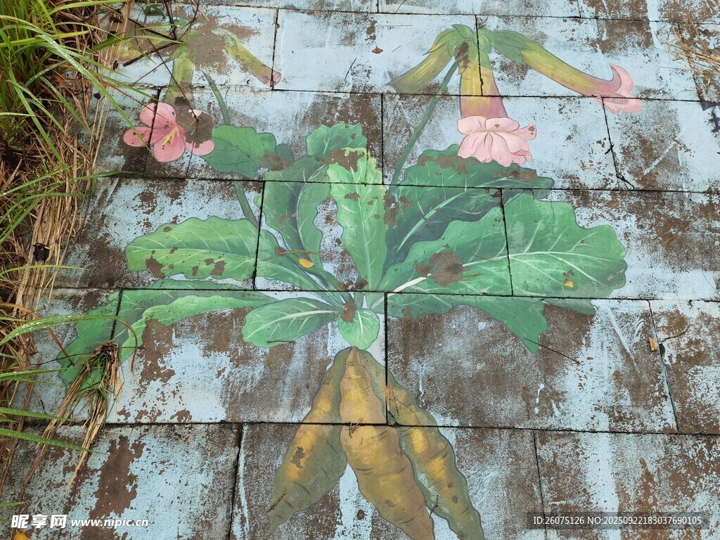 地面花卉彩绘中药