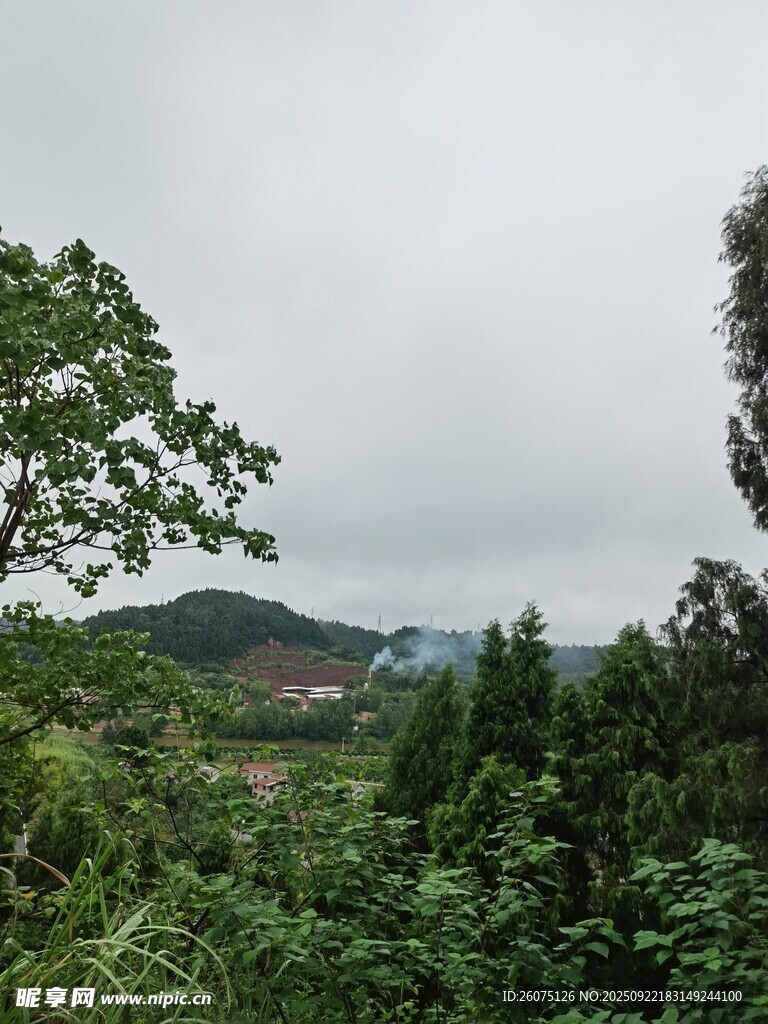 山林间的绿意景致