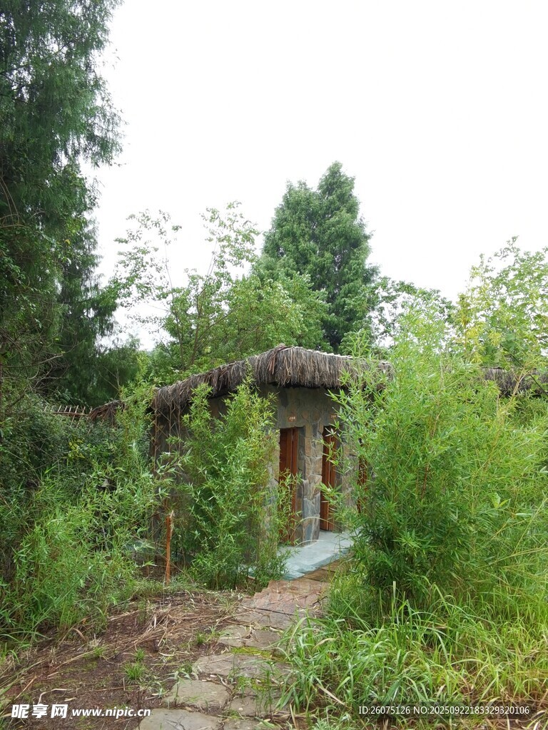 林间草亭自然静谧之景