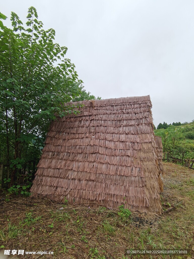 茅草屋与旁边的绿树