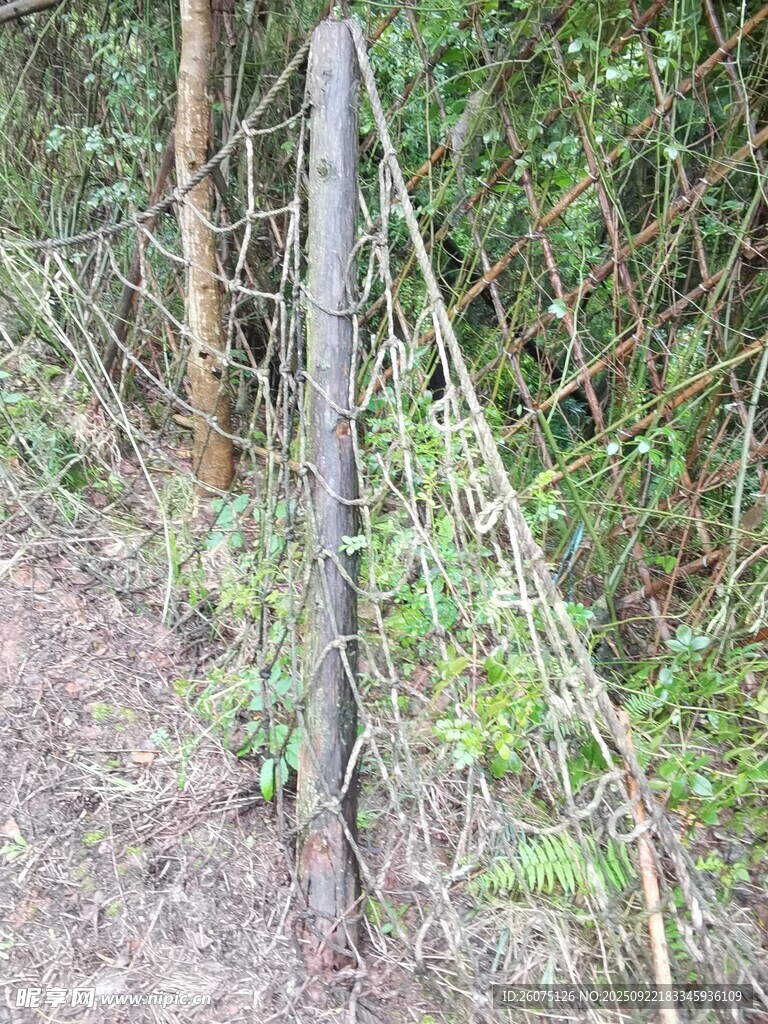 野外木质围栏与网状结构