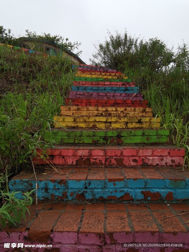 彩色梦幻阶梯自然中的绚丽