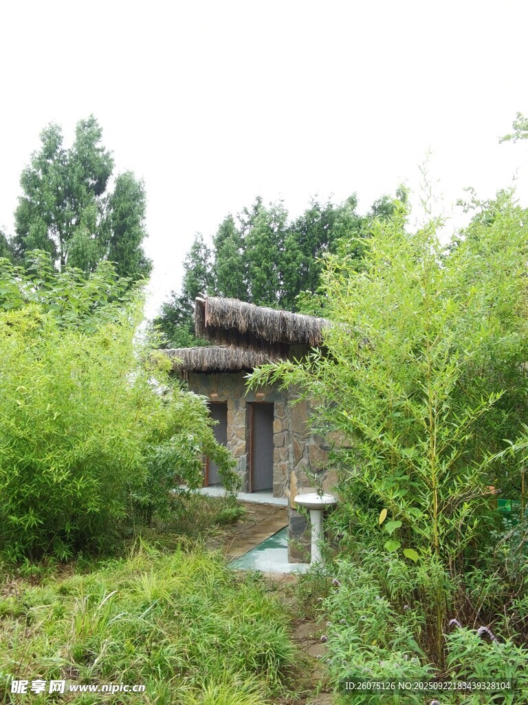 林间古朴亭子隐于绿植间