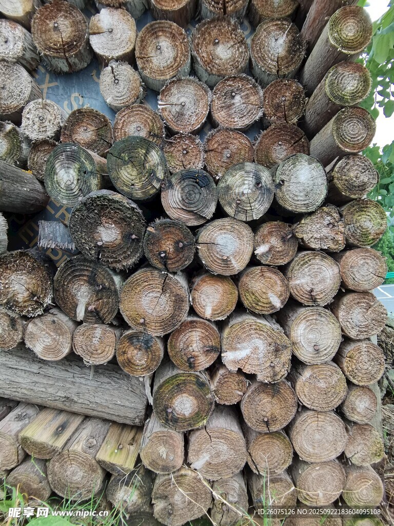 堆叠的圆木