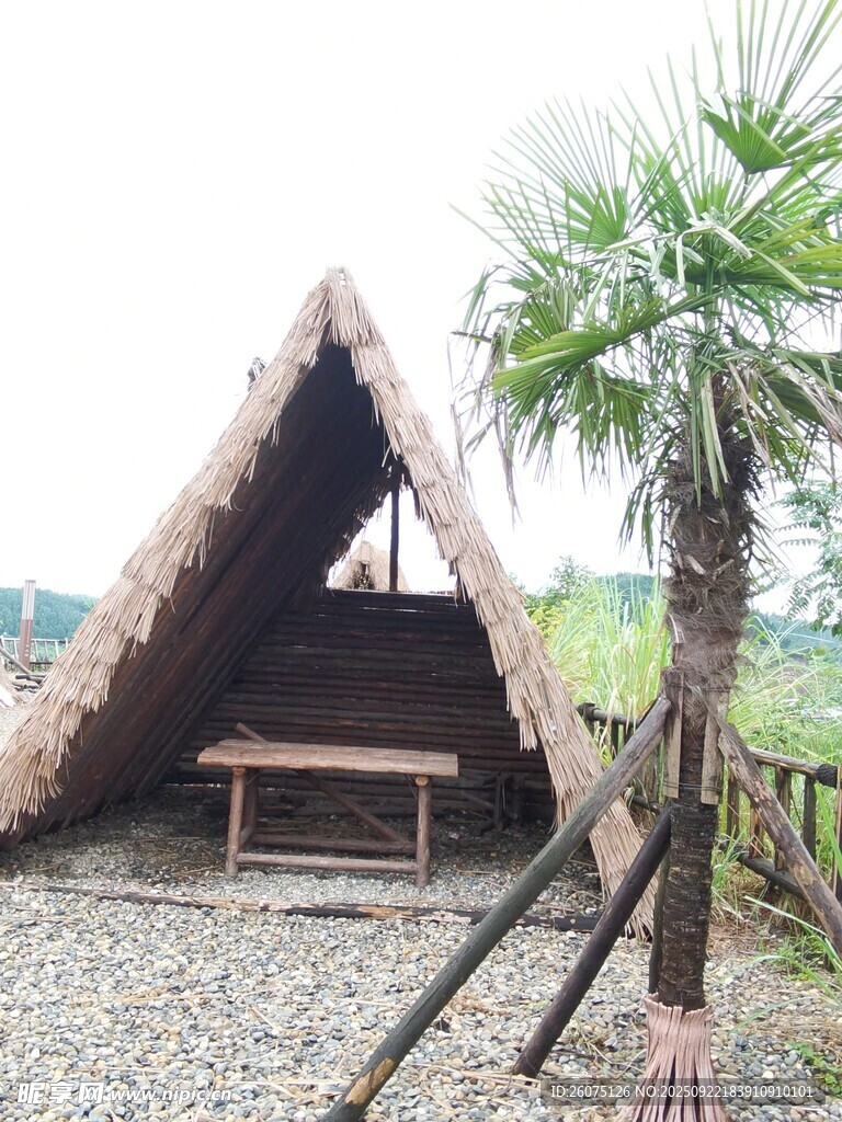 乡村茅草小屋与绿植景致