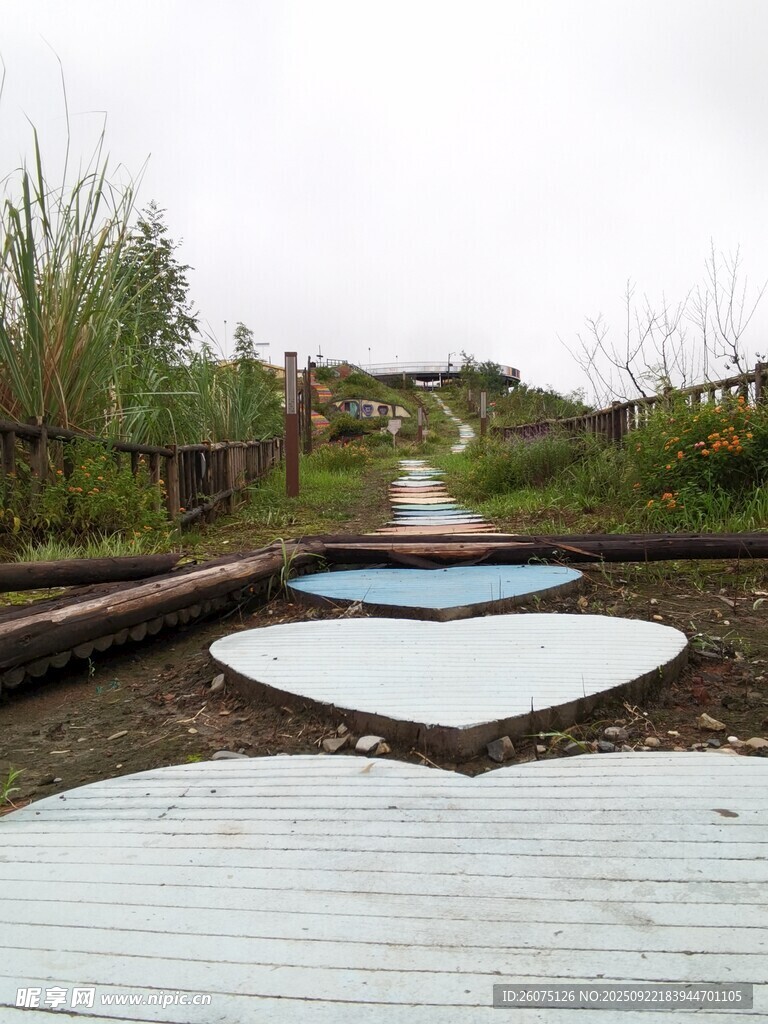 户外木质步道与冲浪板