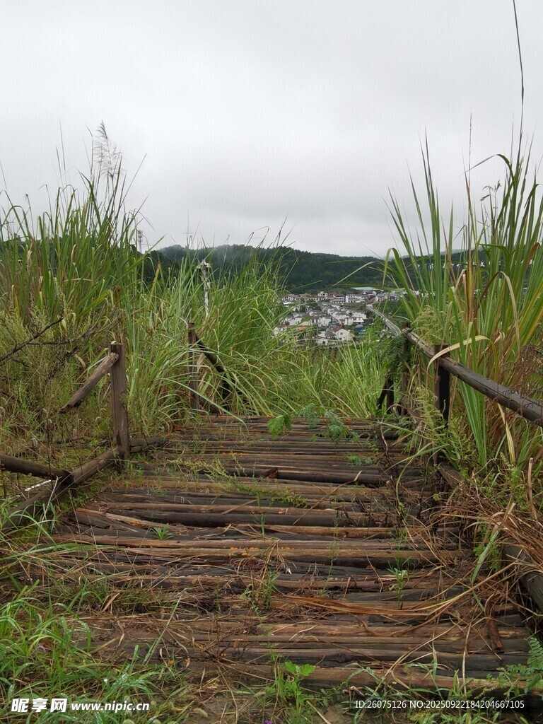 乡间木栈道自然野趣