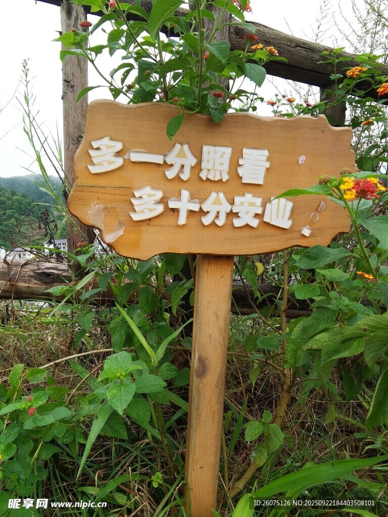 景区木牌这一分景亦十分美