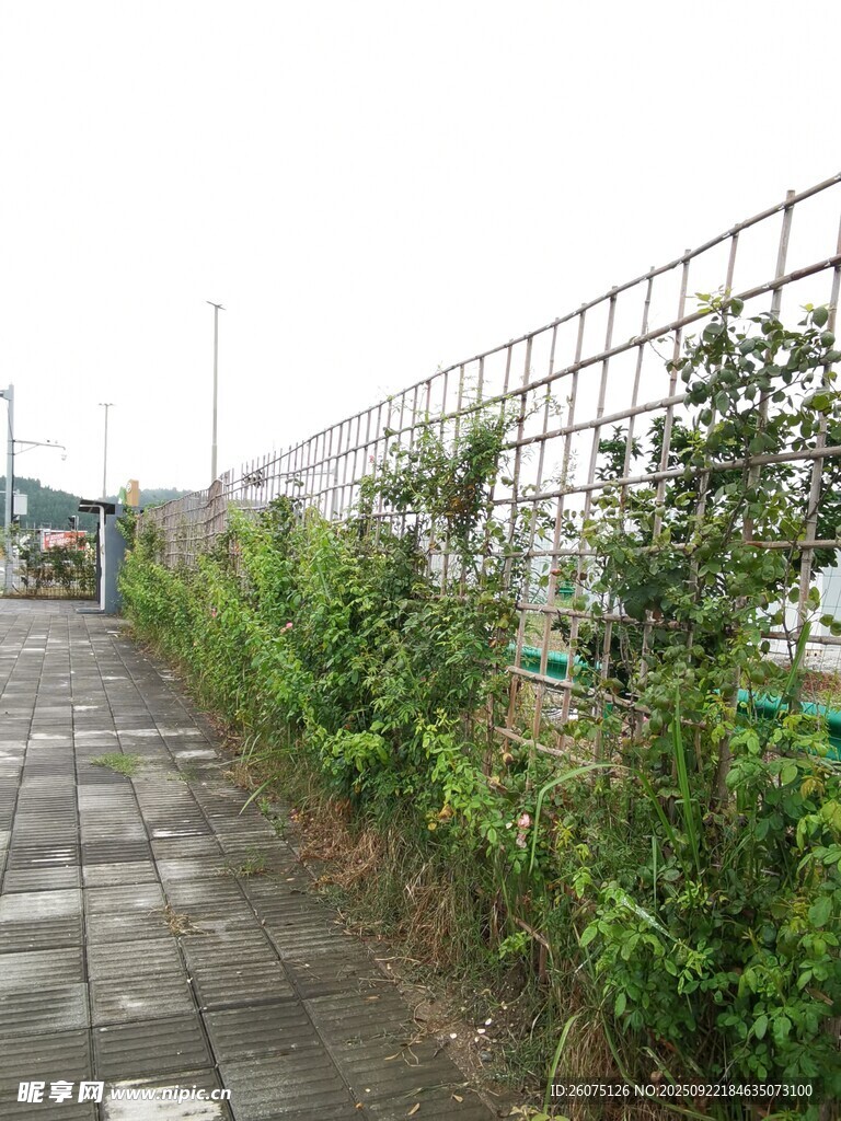 户外绿植旁的围栏场景