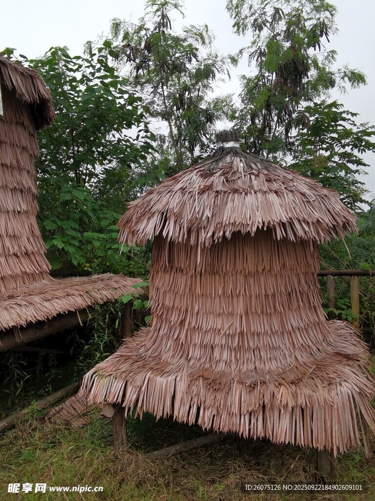 乡村茅草屋景观