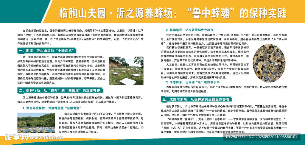 企业宣传册 内页展示 蜜蜂文化